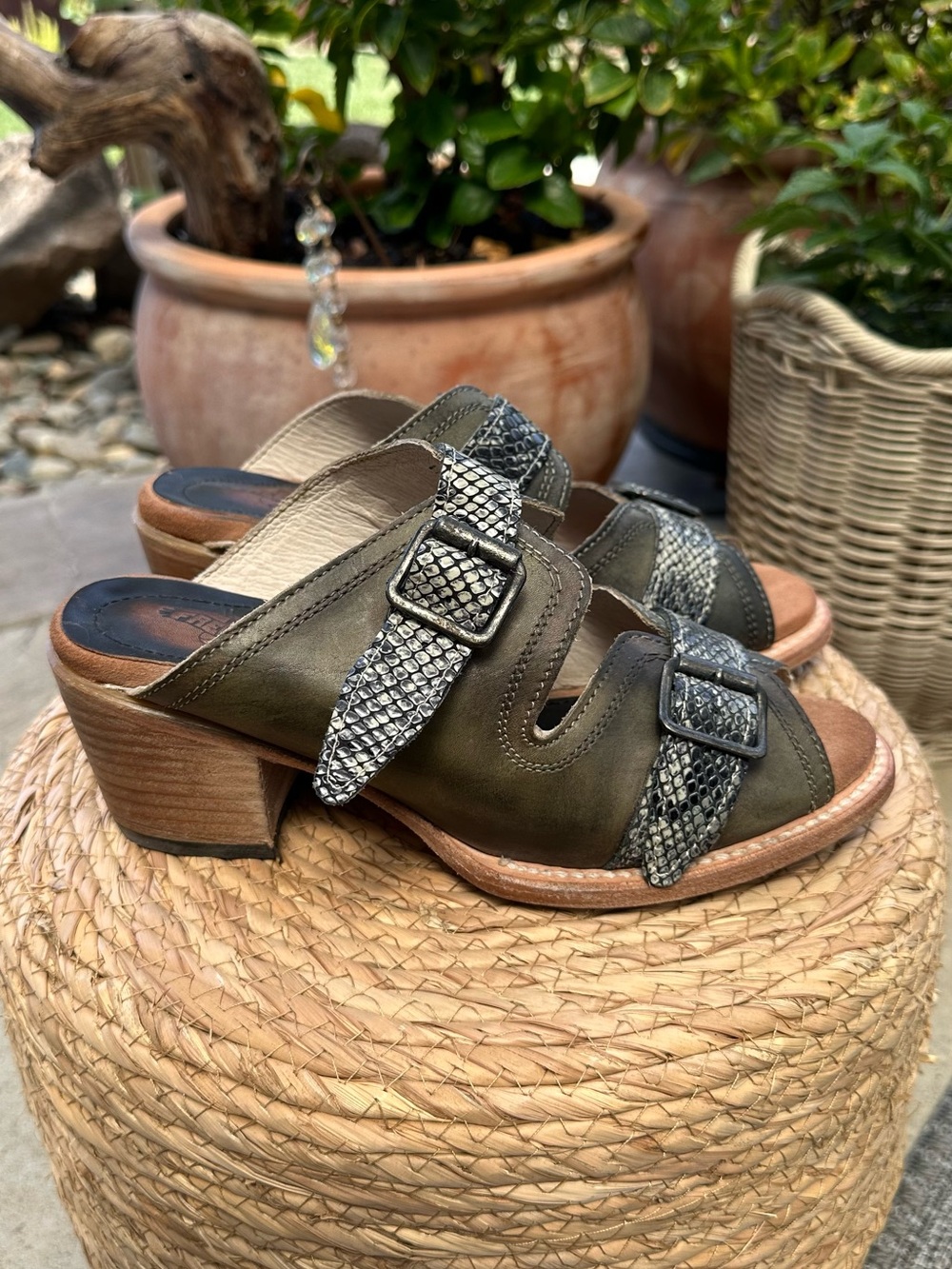 freebird Olive and Snake-Print Buckle Mule Heels